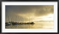 Marina Morning II Framed Print