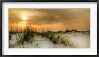 Framed Seagulls at Sunrise