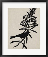 Framed Audubon Silhouette I