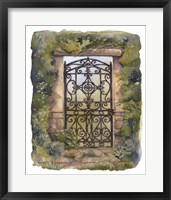 Iron Gate III Framed Print