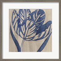 Framed Indigo Tulip