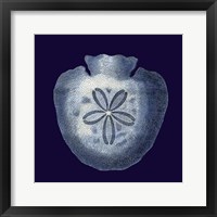 Framed Indigo Shells III