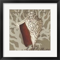 Seaside Sonnet IV Framed Print