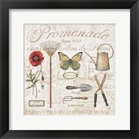 Royal Garden II Framed Print