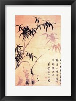 Framed Sin Wi, Bamboos