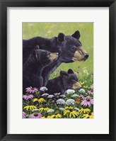 Framed Black Bears