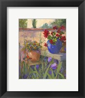 Framed Geranium Awakening