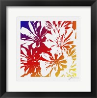 Framed Floral Brights I