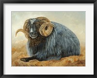 Framed Baa Baa Black Sheep