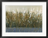 By the Tall Grass II Framed Print