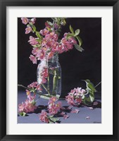 Framed 'Quince & Ruby II' border=