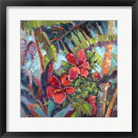 Splash of the Tropics II Framed Print