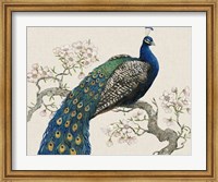 Framed Peacock & Blossoms I