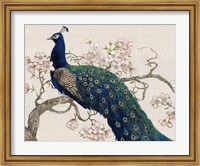 Framed Peacock & Blossoms II