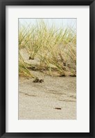 Dunes II Framed Print