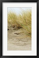 Dunes III Framed Print