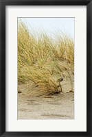 Dunes IV Framed Print
