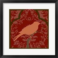 Moroccan Songbird I Framed Print