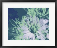 Framed Teal Bloom II