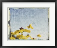 Framed Blackeyed Susans I