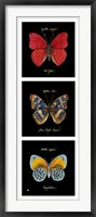 Framed Primary Butterfly Panel I