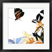Butterfly Inflorescence IV Framed Print