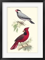 Framed Lemaire Birds I