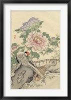 Framed Pheasant and Peony