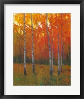 Changing Colors I Framed Print