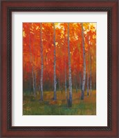 Framed 'Changing Colors II' border=