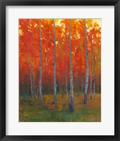 Changing Colors II Framed Print