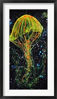 Framed Atlantic Sea Nettle