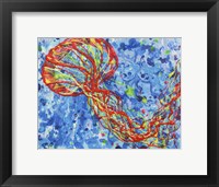 Framed Orange Sea Nettle