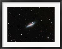 Framed Galaxy M82 in Ursa Major