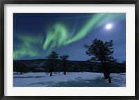 Framed Aurora Borealis, Forramarka, Troms, Norway