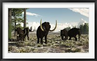 Framed Woolly Mammoths in the prehistoric northern hemisphere