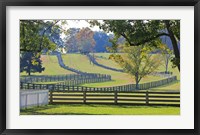 Framed Stacked Split-Rail Fences in Appomattox, Virginia