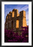 Framed Ancient Roman Amphitheater with flowers, El Jem, Tunisia