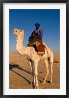 Framed Bedouin man on camel, Douz, Sahara Tunisia, Africa