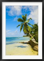 Framed Clear Waters on Mahe Island, Seychelles, Africa