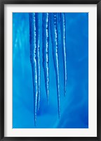 Framed Antarctica, Icicles hanging from the roof of a glacial ice cave.