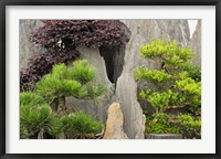 Framed Bao's Family Garden, Huangshan, China