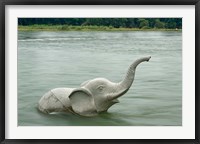 Framed Elephant statue in Li River, Elephant Trunk Hill Park, Guilin, China