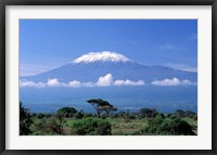 Framed Africa, Tanzania, Mt Kilimanjaro, landscape and zebra