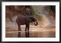 Framed Elephant at Water Hole, South Africa