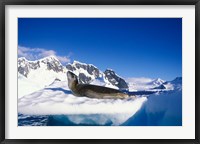 Framed Antarctica, Boothe Island, Leopard Seal, iceberg