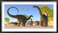 Framed Herd of Apatosaurus dinosaurs wander through a prehistoric forest