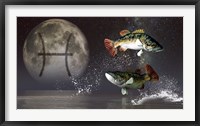 Framed Pisces is the twelfth astrological sign of the Zodiac