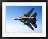 Framed F-14A Tomcat with missile armament