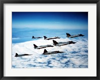 Framed Four F-14 Tomcats and three F-5 Tiger IIs in flight